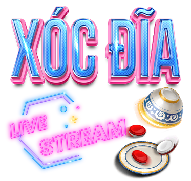 X&oacute;c đĩa ev99